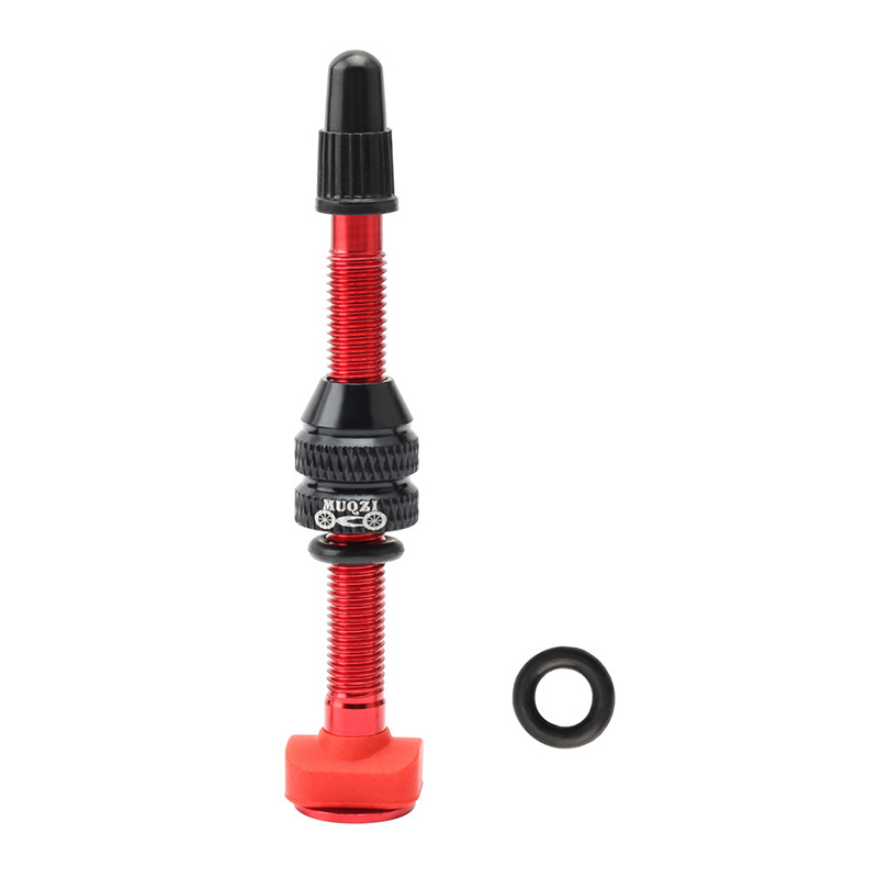 Válvula Presta para bicicleta  - Mountain Biking In French reseña y precio