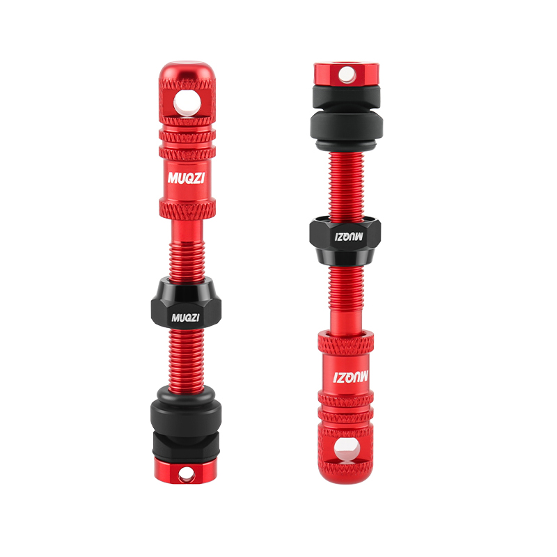 Válvula Presta sin cámara para - Mountain Biking In French reseña y precio